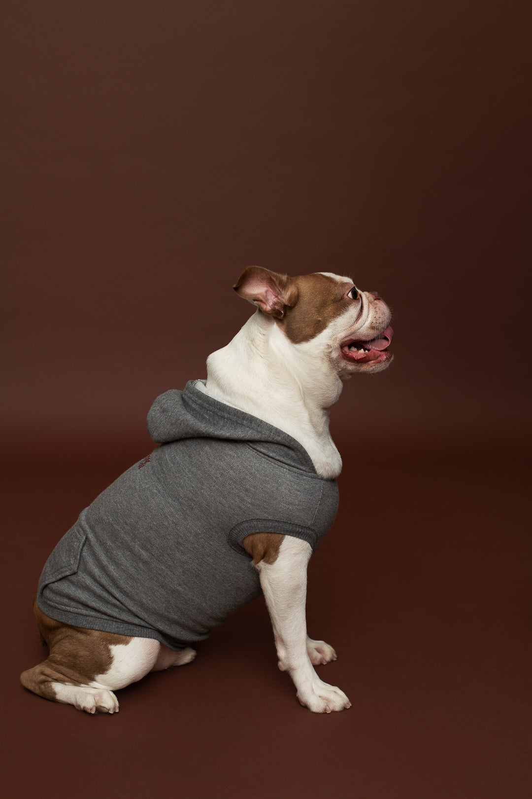 Molleton à capuchon pour chien Différent comme toi - gris foncé