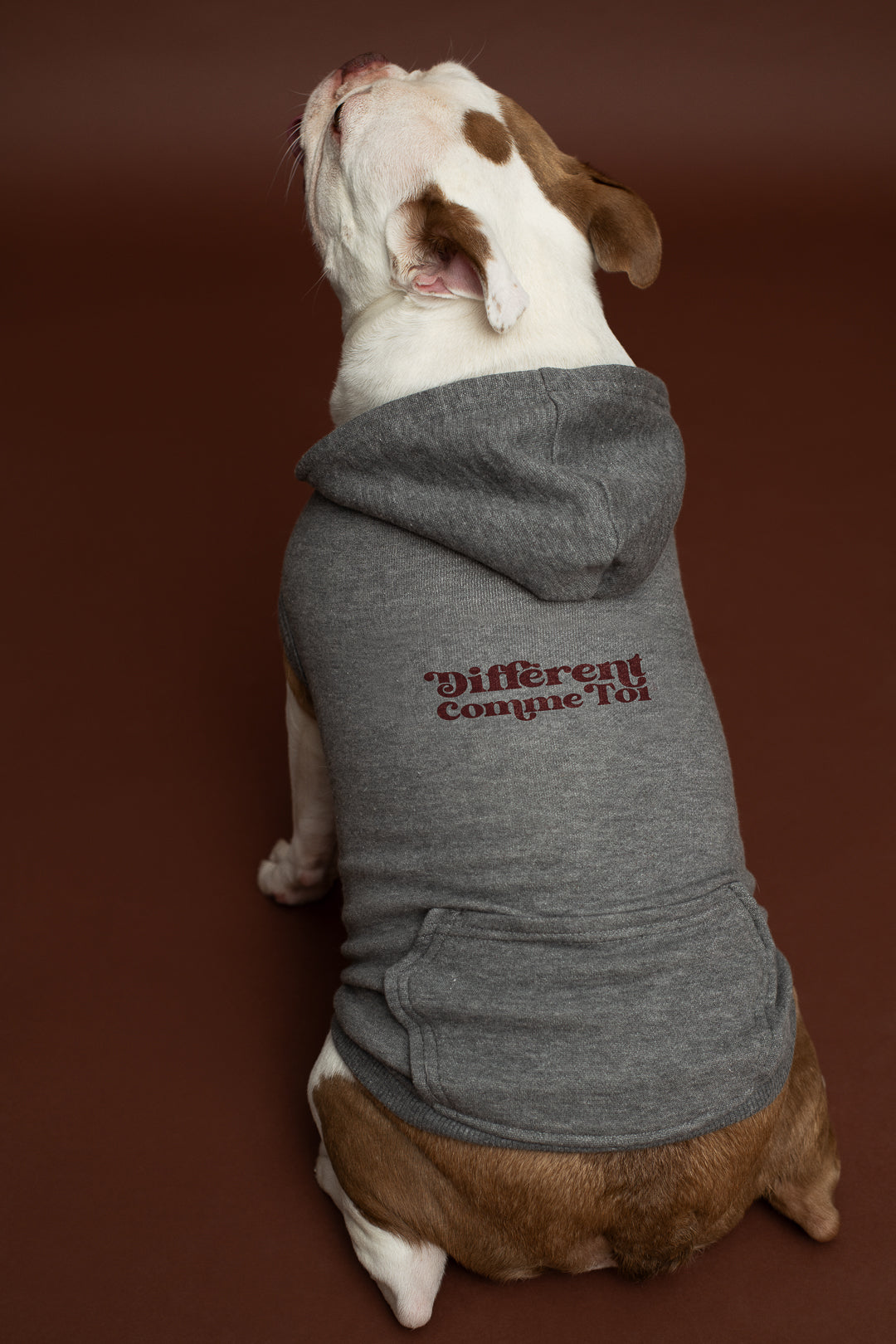 Molleton à capuchon pour chien Différent comme toi - gris foncé